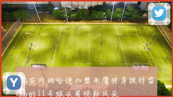 瑞安内姆哈德加盟老鹰将身披特雷杨的11号球衣展现新风采