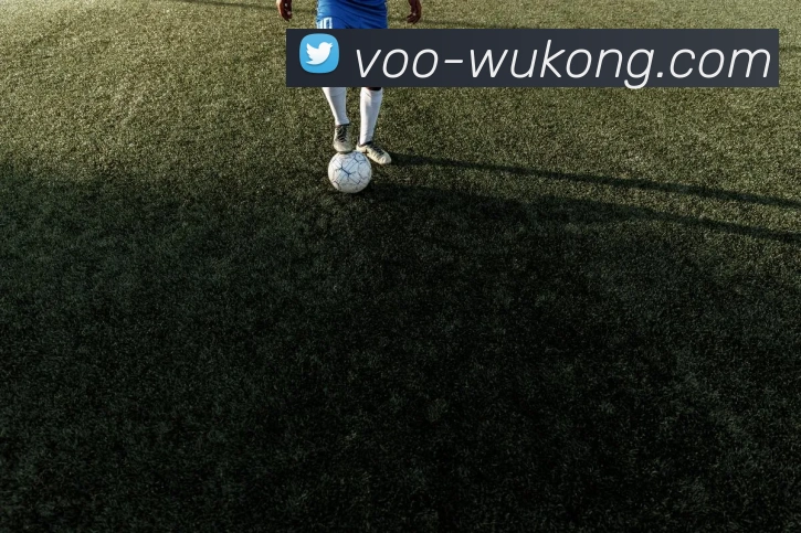 奖项证书